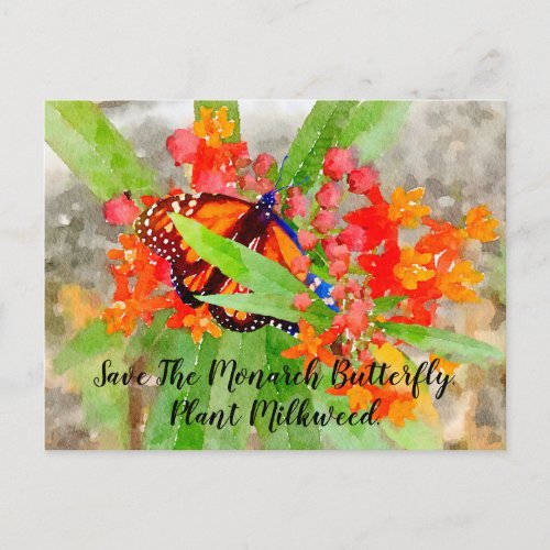 Save The Monarch Butterfly Postcard