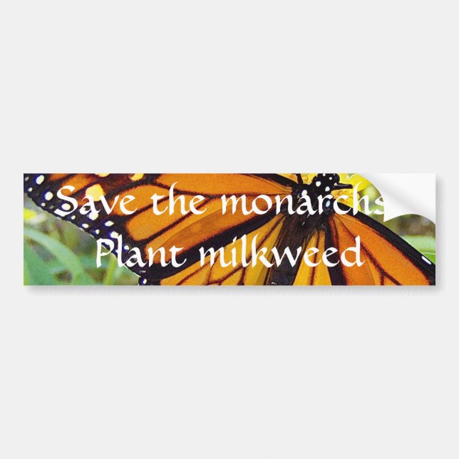 Save the monarchs, plant milkweed - Bumper sticker (Front)