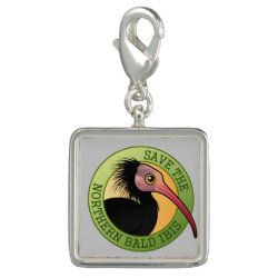 Save the Northern Bald Ibis Charm