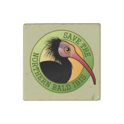 Save the Northern Bald Ibis Primed Marble Stone Magnet
