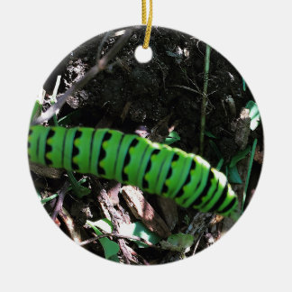 Save the Ohio Monarchs | Caterpillar Ceramic Ornament
