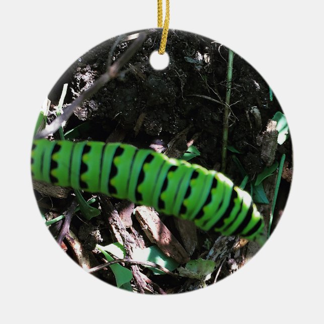 Save the Ohio Monarchs | Caterpillar Ceramic Ornament (Front)