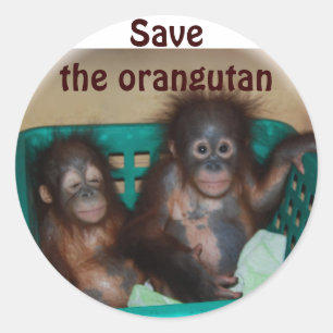 Save the Orangutan Classic Round Sticker