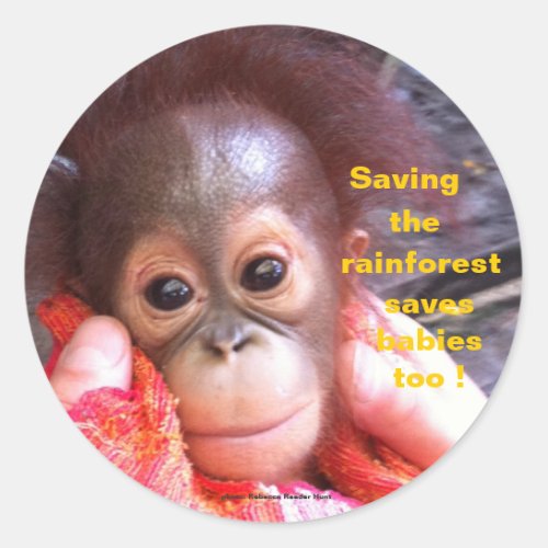 Save the Orangutans and Rainforest Classic Round Sticker