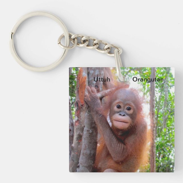 Save the Orangutans  Baby Uttuh Key Chain (Front)
