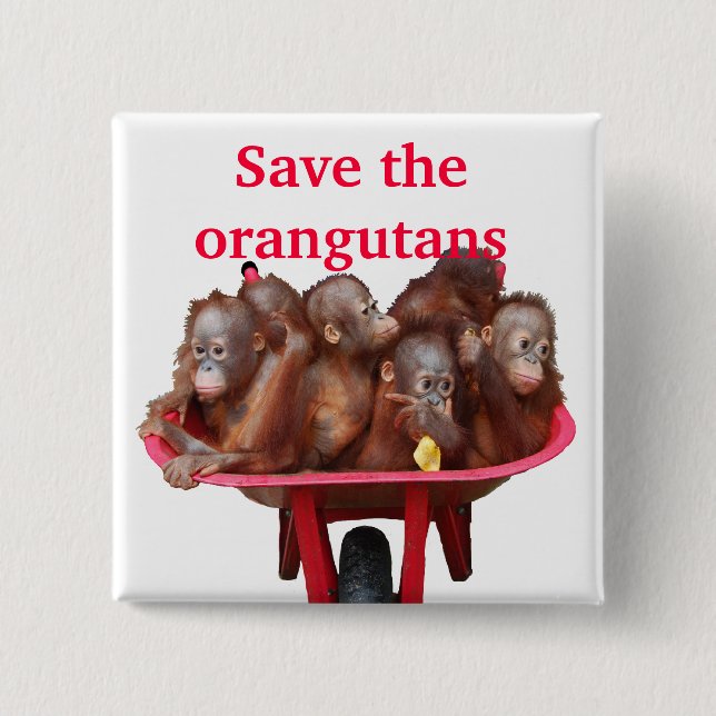 Save the Orangutans Cute Babies Pinback Button (Front)