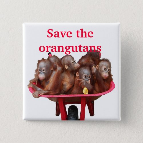 Save the Orangutans Cute Babies Pinback Button