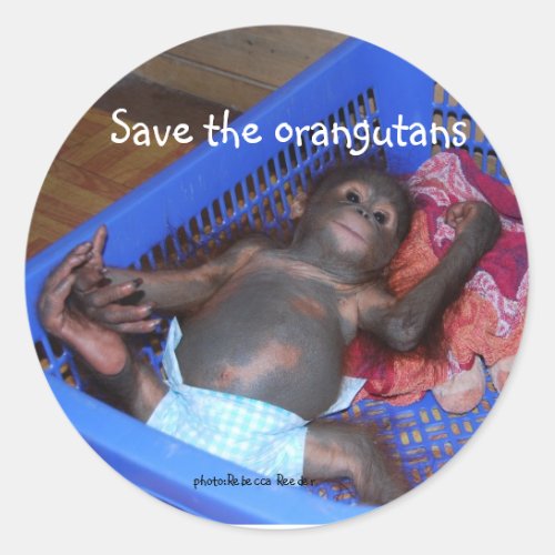 Save the Orangutans Cute Baby Classic Round Sticker