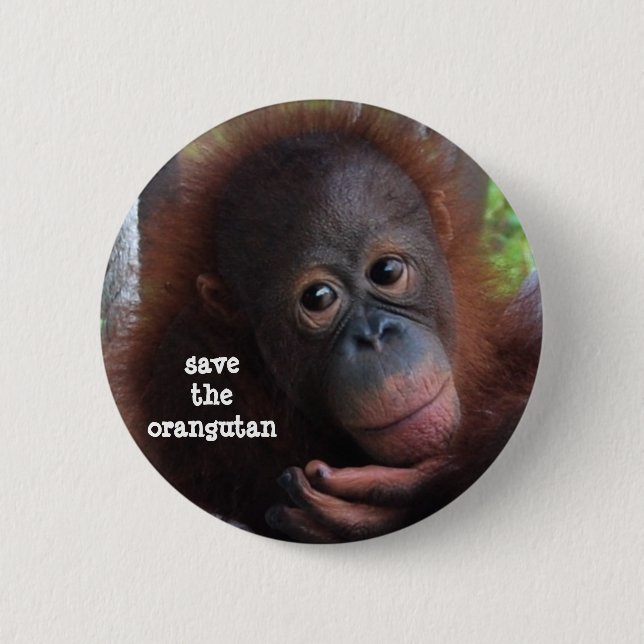 Save the Orangutans! Pinback Button (Front)