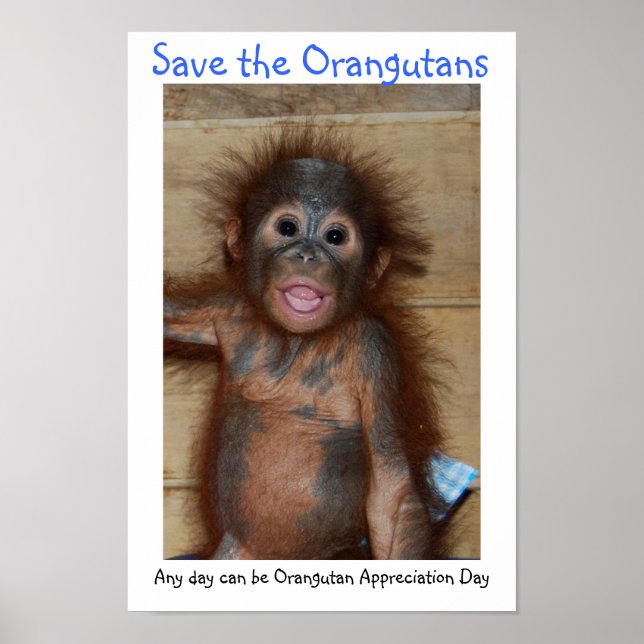 Save the Orangutans Poster (Front)