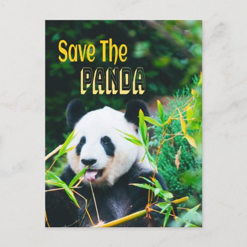 Save The Panda Postcard