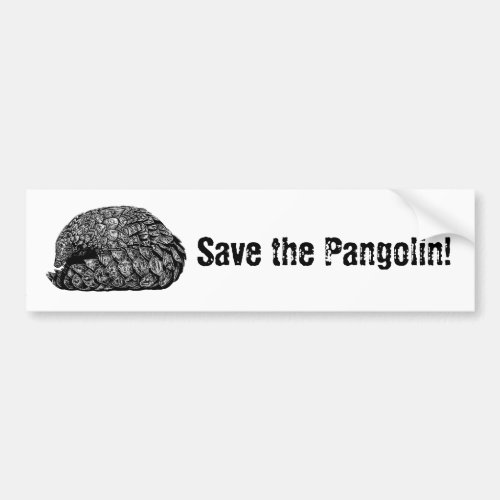 Save the Pangolin bumper sticker