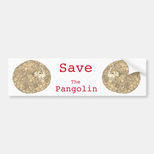 Save the Pangolin Curled Up Endangered Species Bumper Sticker