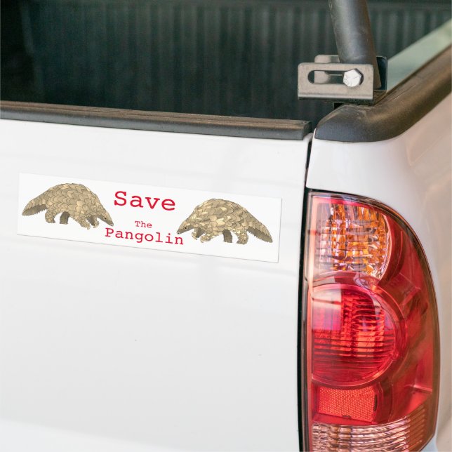 Save the Pangolin Slogan Endangered Animal Rights Bumper Sticker (On Truck)