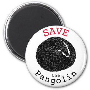Save the Pangolin slogan illustration  Magnet