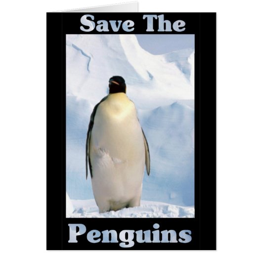 Save the Penguins Cards (Front)