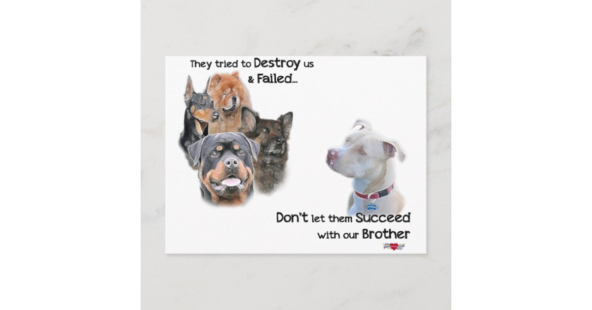 Save the Pitbull Postcard Zazzle