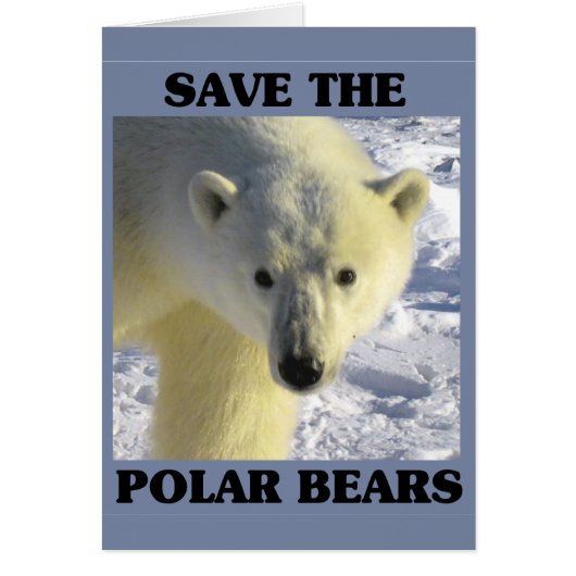 Save the Polar Bears Cards (Front)
