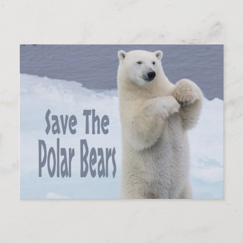 Save The Polar Bears Postcard