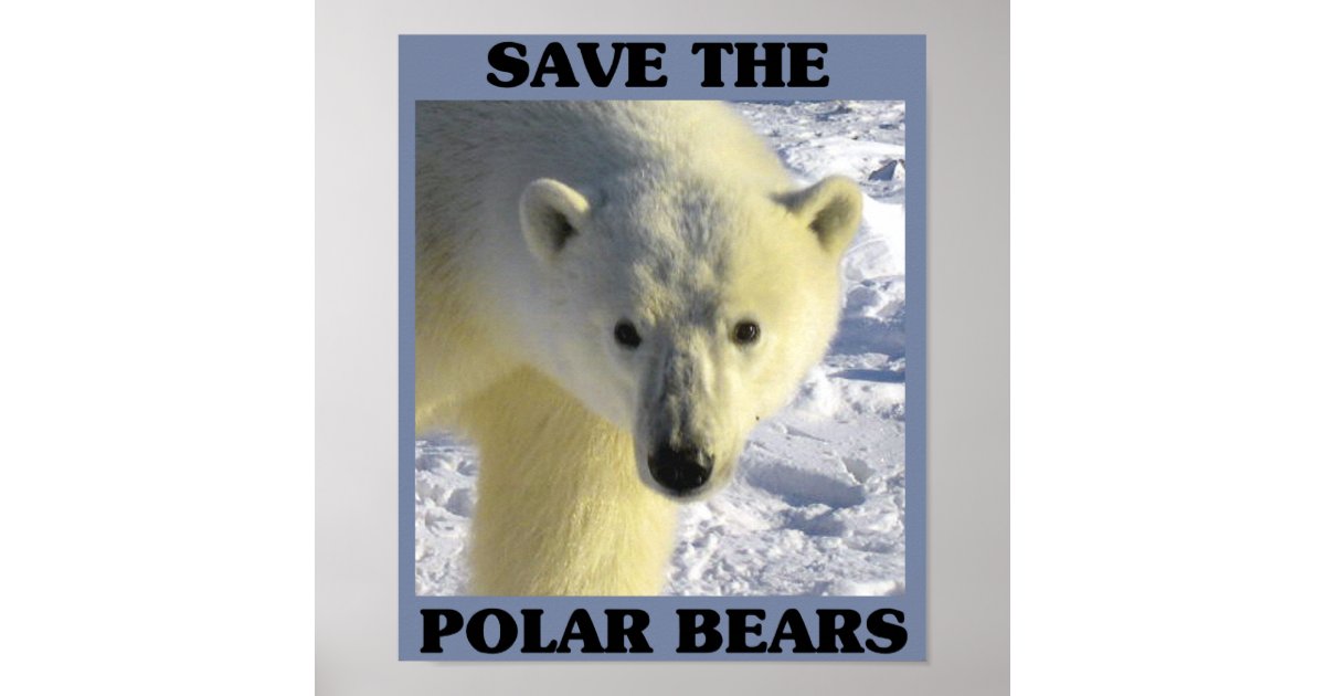 Save the Polar Bears Poster | Zazzle.com