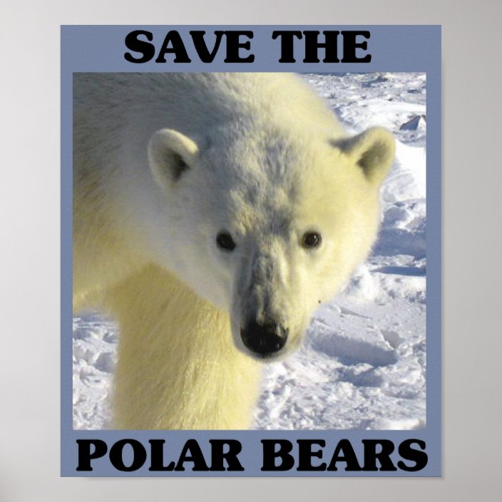 Save the Polar Bears Poster | Zazzle.com