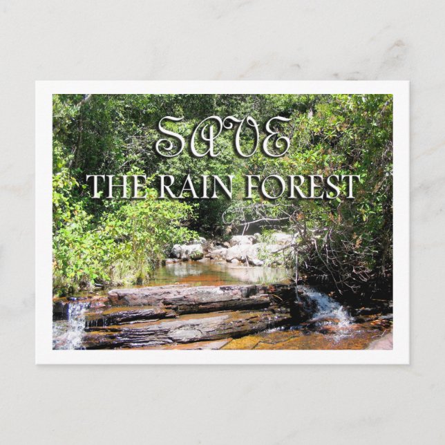 Save The Rain Forest Landscape Postcard (Front)
