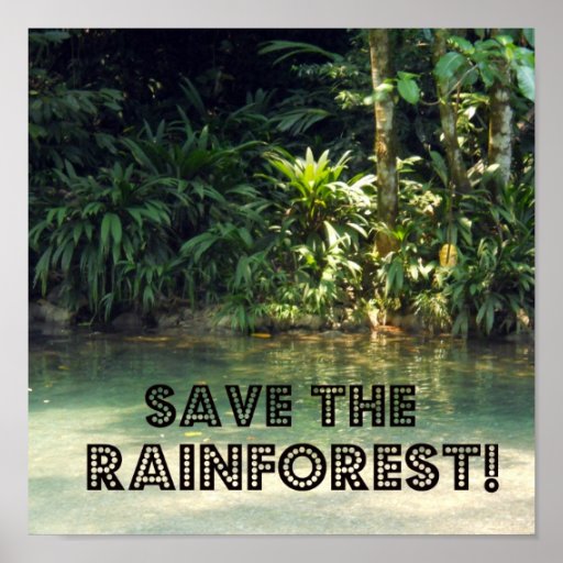 Save the Rainforest! Poster | Zazzle