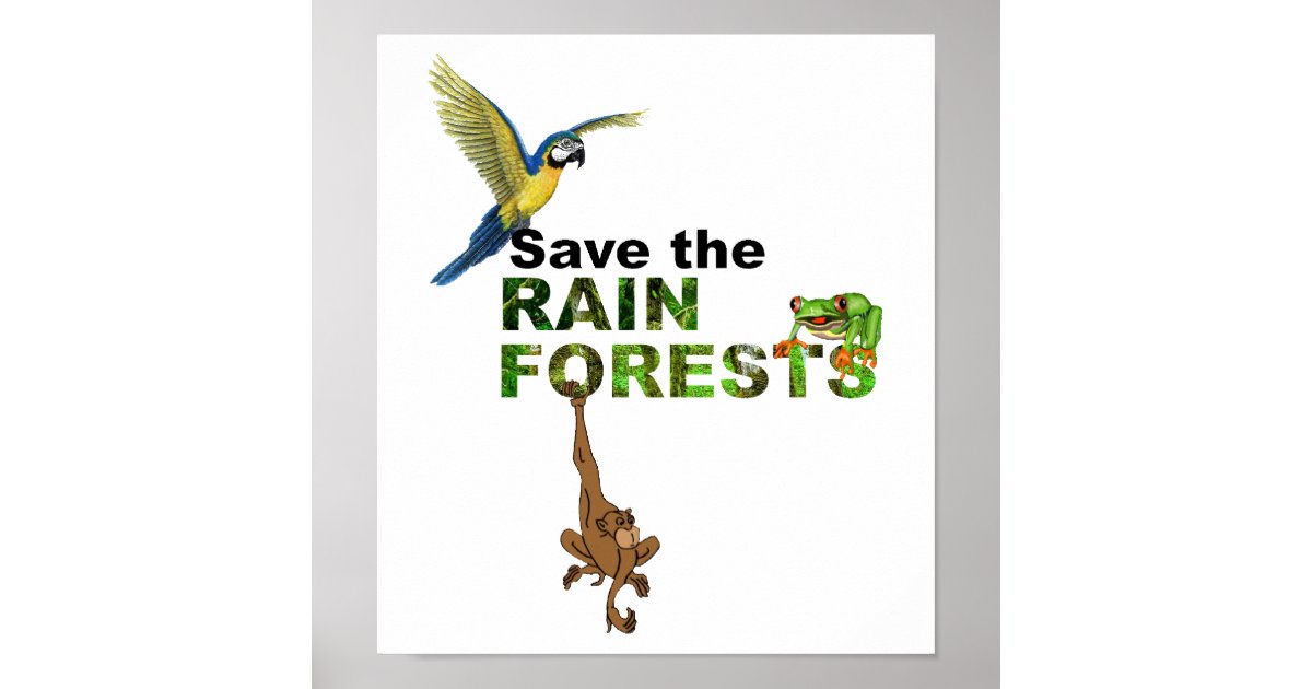 Save the Rainforests Poster | Zazzle