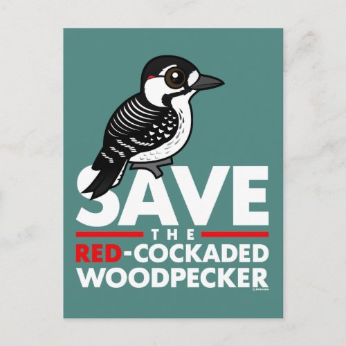Save the Red_cockaded Woodpecker Postcard