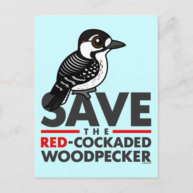 Save the Red-cockaded Woodpecker Postcard (Front)