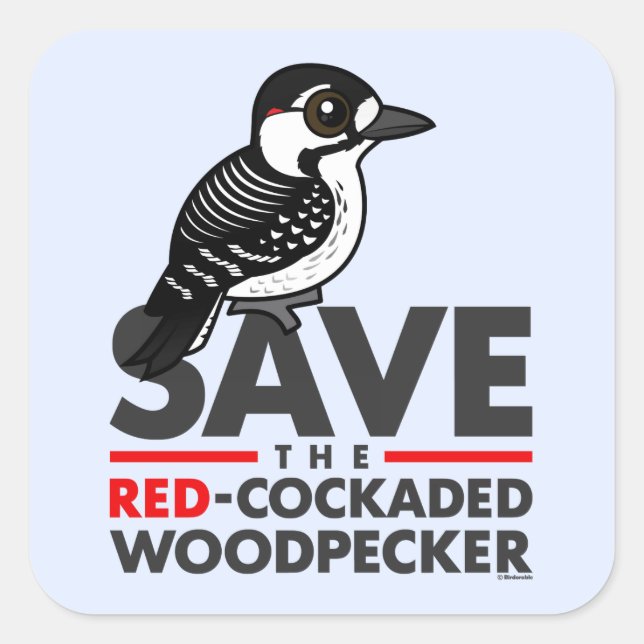 Save the Red-cockaded Woodpecker Square Sticker (Front)