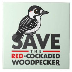 Save the Red-cockaded Woodpecker Large Tile (6