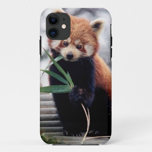 Save the Red Panda iPhone 55S Case