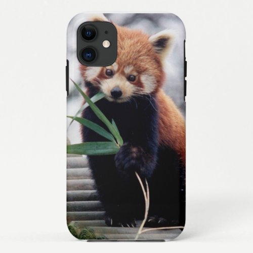 Save the Red Panda iPhone 5/5S Case