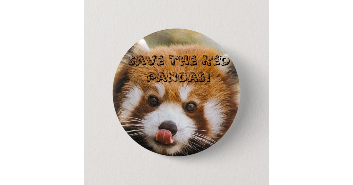 Save The Red Pandas Button Zazzle Save The Red Pandas Button Zazzle