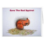 Save the red squirrel (Front Horizontal)