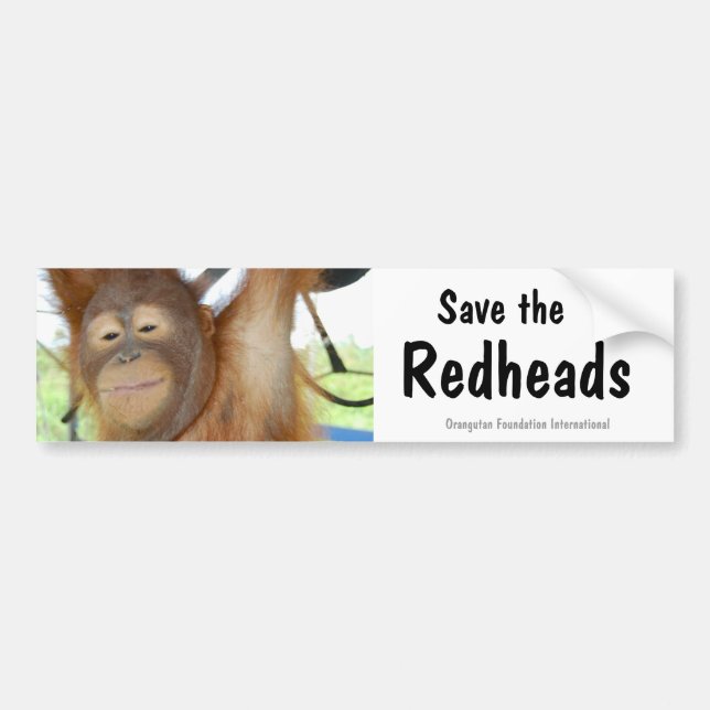 Save the Redheads Orangutan Wildlife Bumper Sticker (Front)