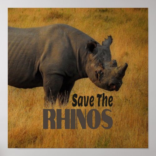 Save The Rhinos Poster