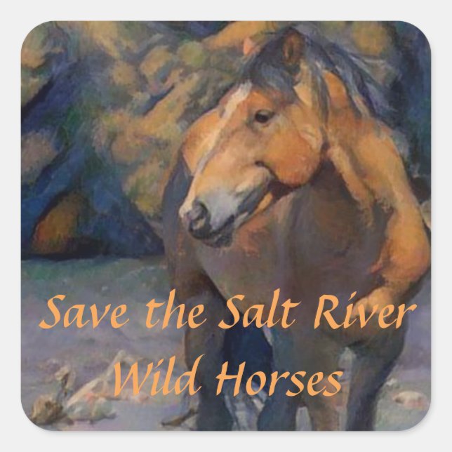Save the Salt River Wild Horses Stickers (Front)