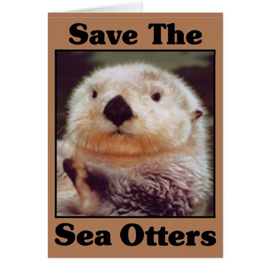 Save the Sea Otters Cards (Front)