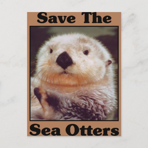 Save the Sea Otters Postcard