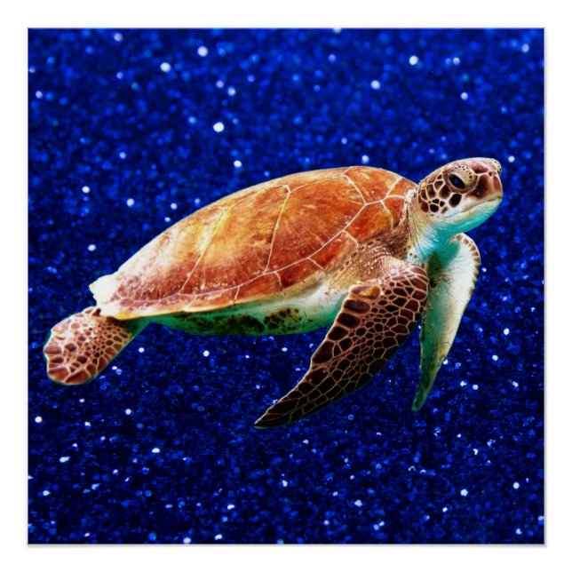 Save the Sea Turtles Poster (Front)