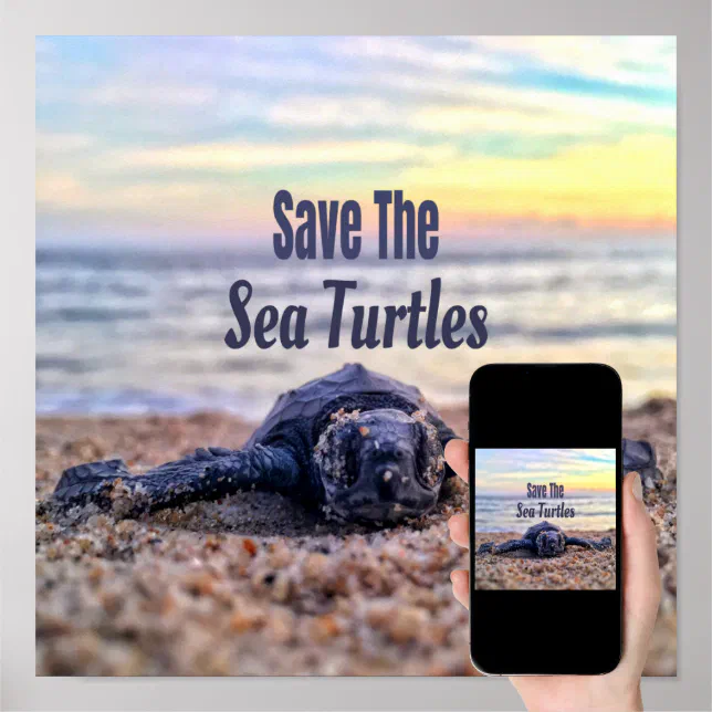 Save The Sea Turtles Poster | Zazzle