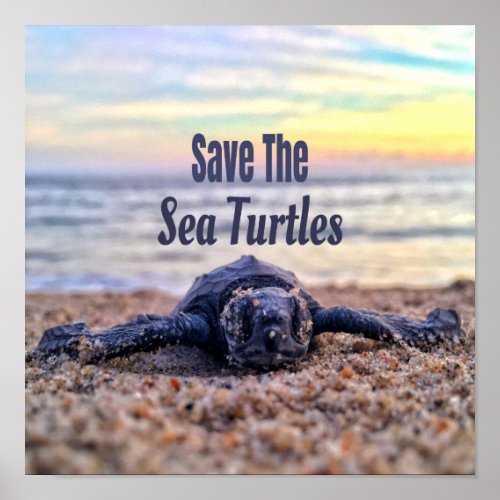 Save The Sea Turtles Poster