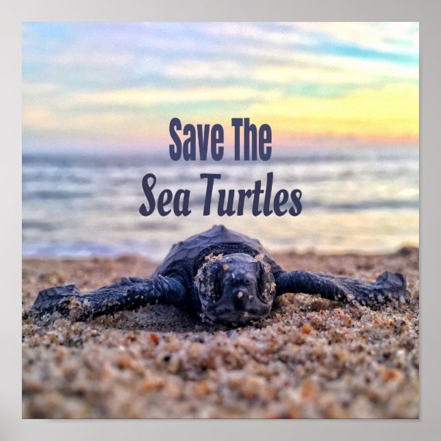 Save The Sea Turtles Poster (Front)