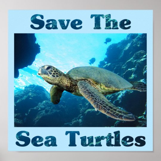 Save the Sea Turtles Poster | Zazzle.com