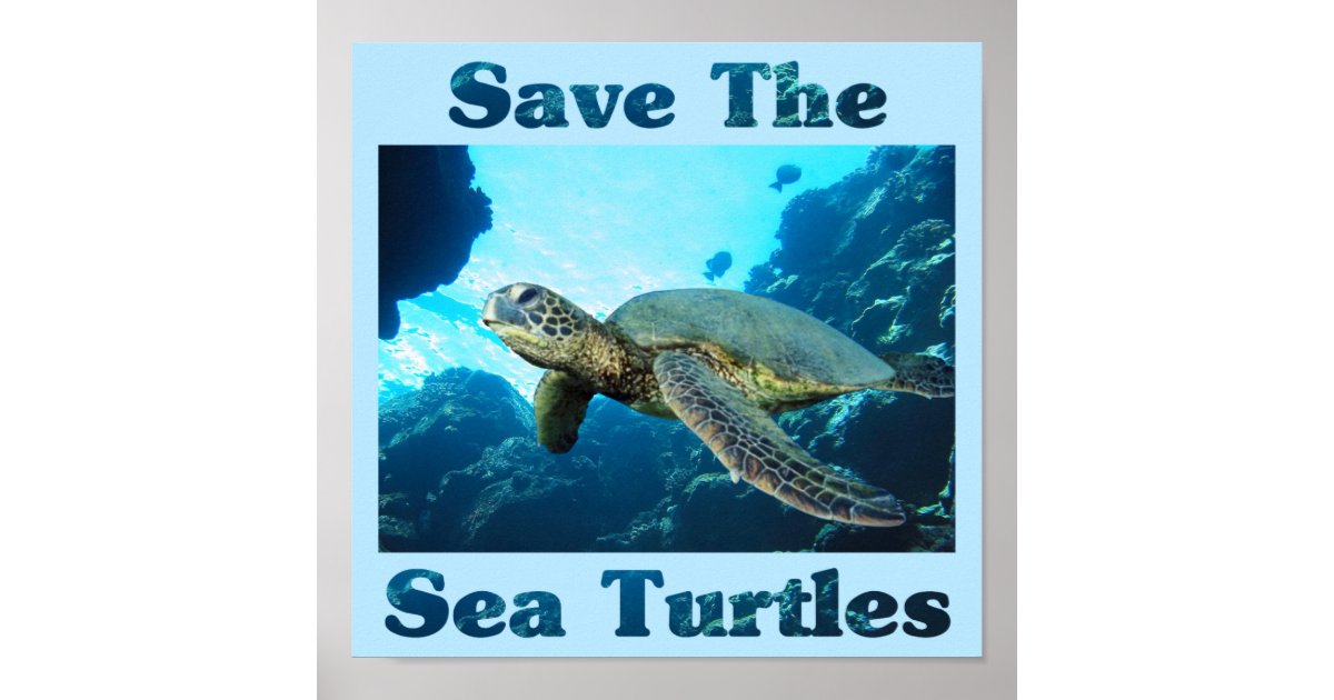 Save the Sea Turtles Poster | Zazzle