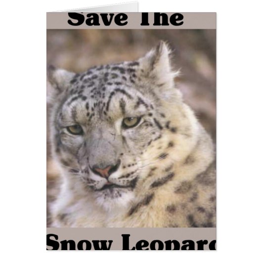 Save the Snow Leopard Cards (Front)