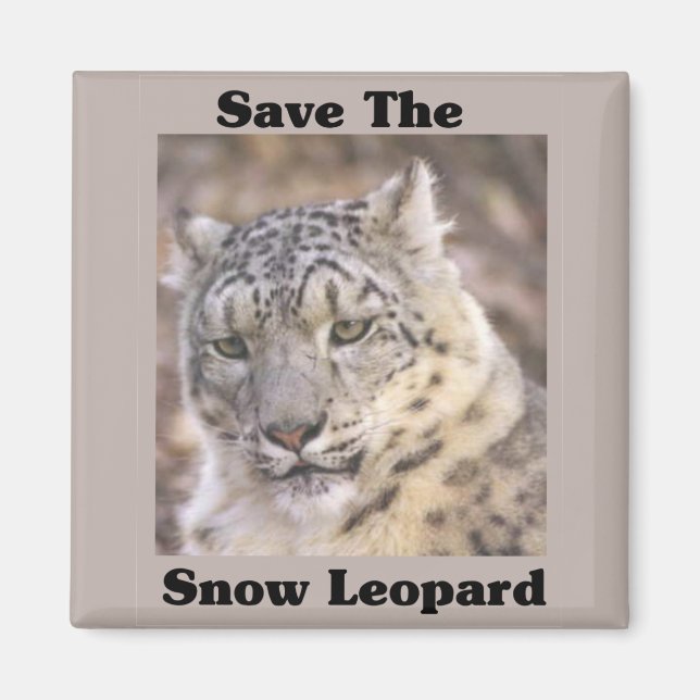 Save the Snow Leopard Magnet (Front)