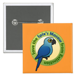 Save the Spix's Macaw from Extinction Square Button